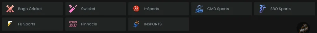 Other Sports Available for Betting