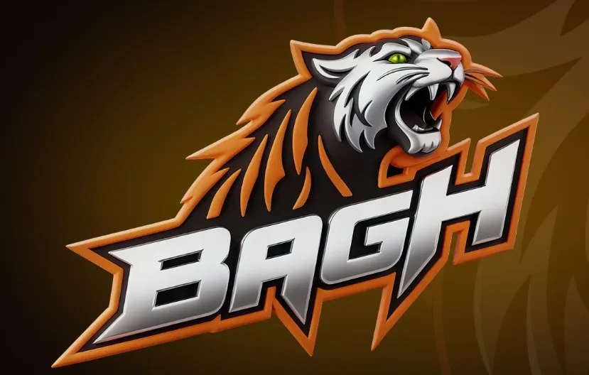 Exploring the Gaming World Inside Bagh Casino